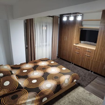 Apartament - Central Târgu Jiu エクステリア 写真