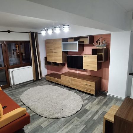 Apartament - Central Târgu Jiu エクステリア 写真