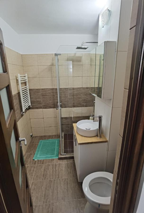 Apartament - Central Târgu Jiu エクステリア 写真